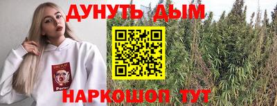 сатива Аргун