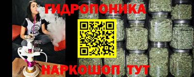 сатива Аргун