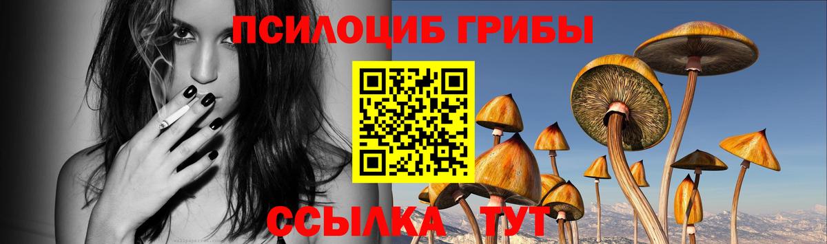Псилоцибиновые грибы мицелий Вольск